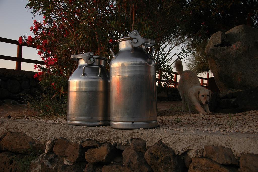 Agriturismo Codula Fuili Villa Cala Gonone Esterno foto