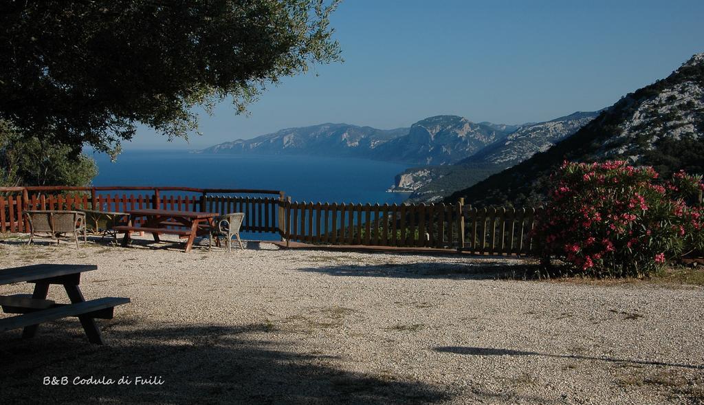 Agriturismo Codula Fuili Villa Cala Gonone Camera foto