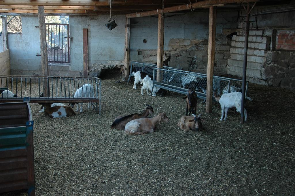 Agriturismo Codula Fuili Villa Cala Gonone Esterno foto